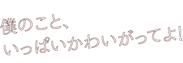 姫乃 輝の格言