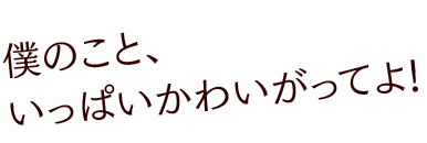 姫乃 輝の格言